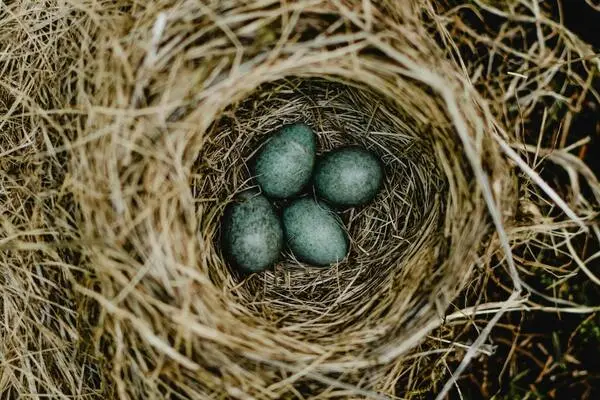 Other Sacred Ceremonies